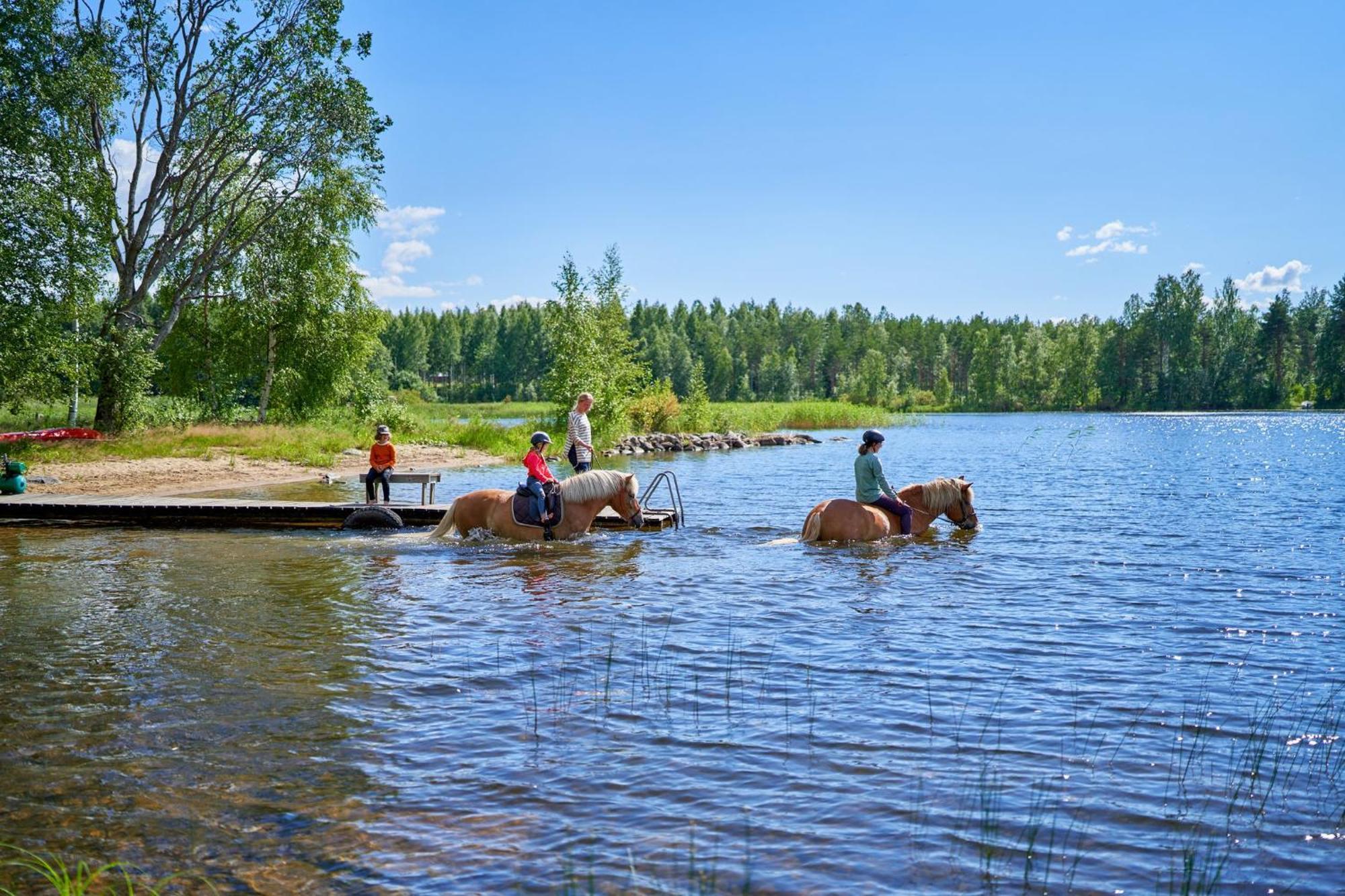 Resort Naaranlahti Punkaharju Exteriér fotografie